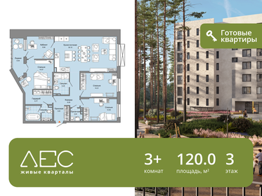 Квартира 120 м², 3-комнатная - изображение 1