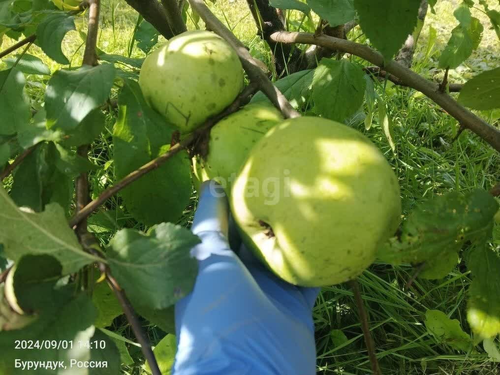 Дом 1-комн. 16 м² в Томск — фото 12 из 13