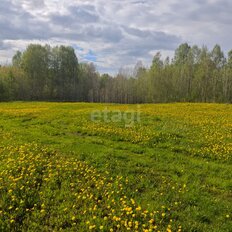 11 соток, участок - изображение 1