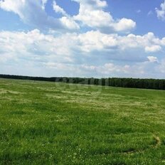 10 соток, участок - изображение 2