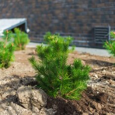 Квартира 61,1 м², 2-комнатная - изображение 5