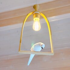 дом + 20 соток, участок - изображение 4