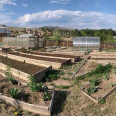 12 соток, участок - изображение 2