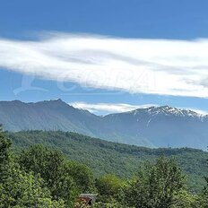 6,5 сотки, участок - изображение 2