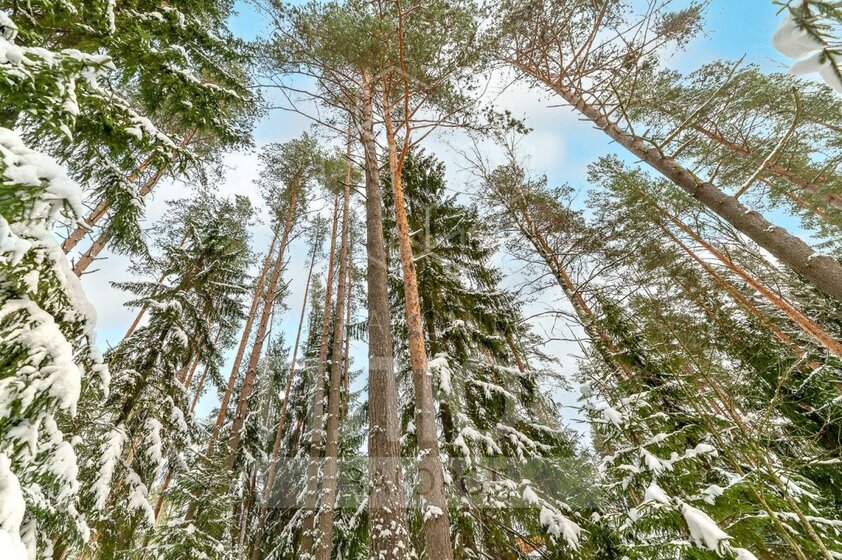 14 соток, участок 19 600 000 ₽ - изображение 35