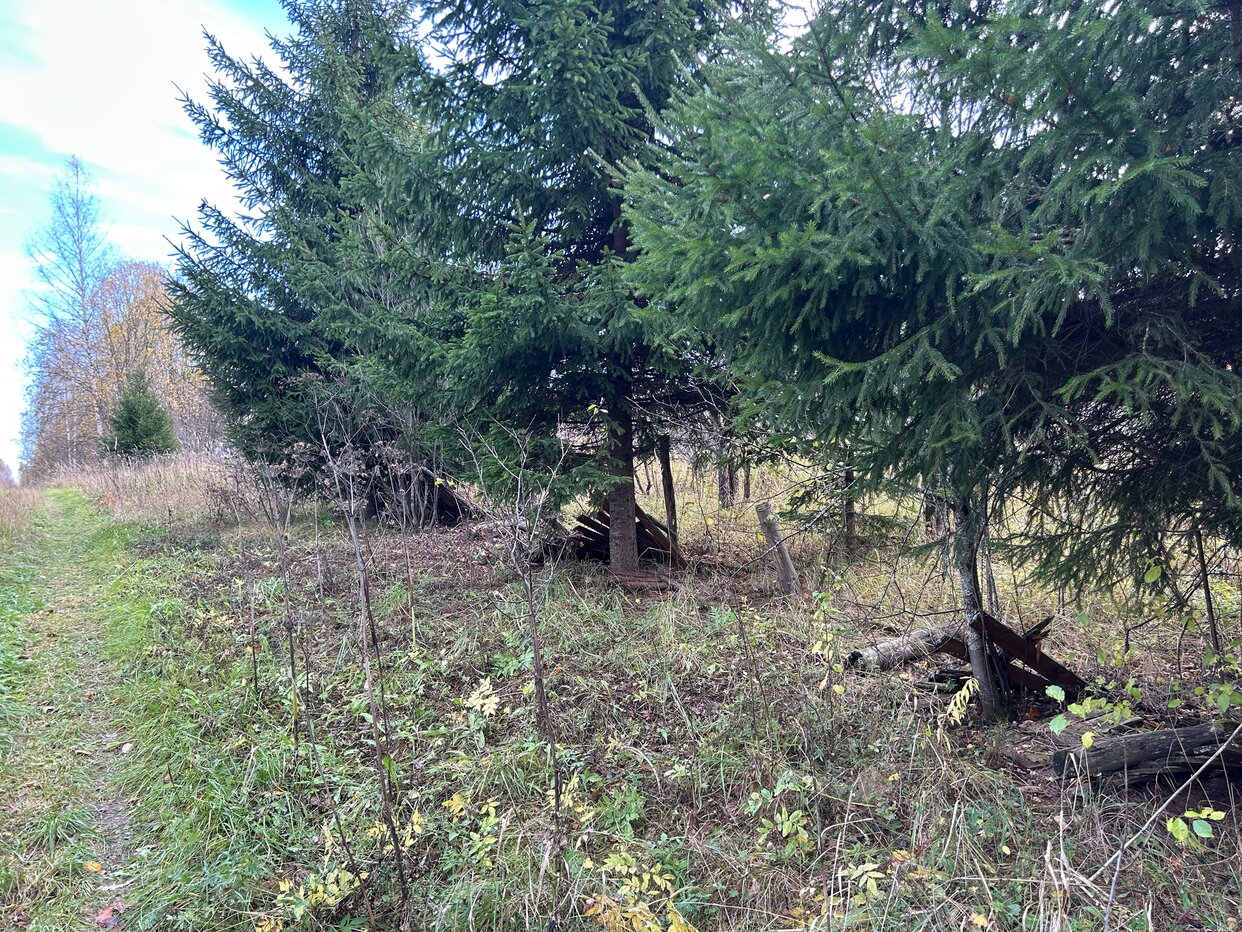 Дом 40 м² в СНТ Багримово — фото 5