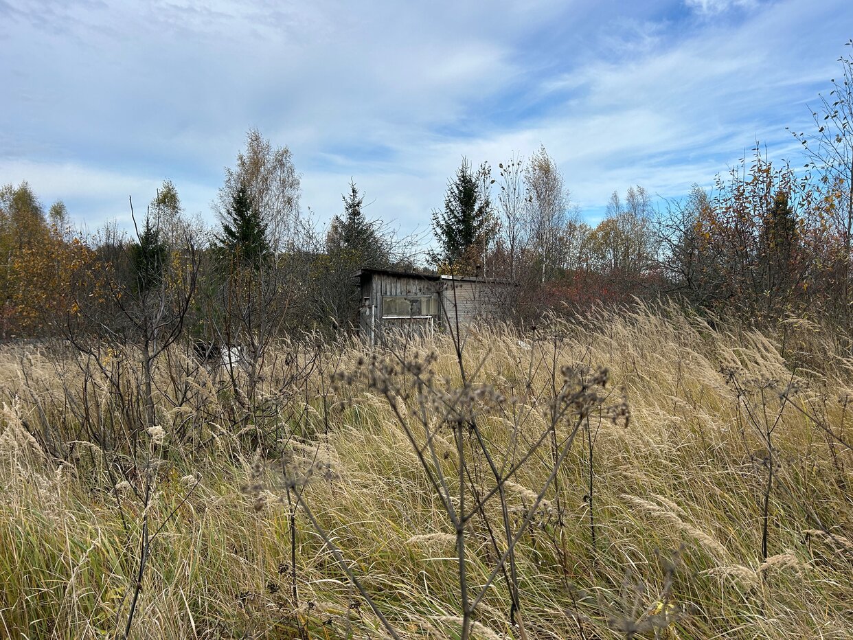 Дом 40 м² в СНТ Багримово — фото 18 из 23