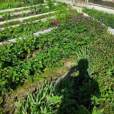 дом + 2,5 сотки, участок - изображение 3