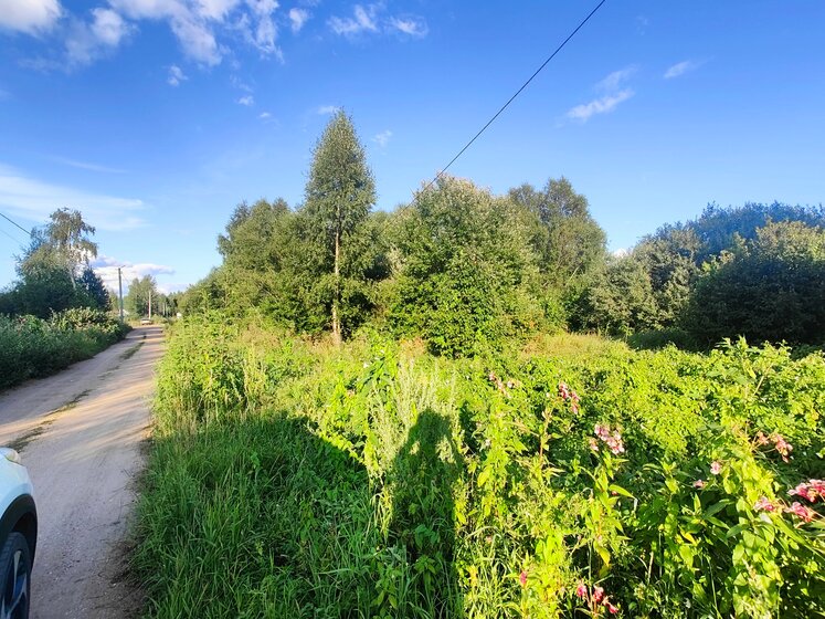5 соток, участок 550 000 ₽ - изображение 45
