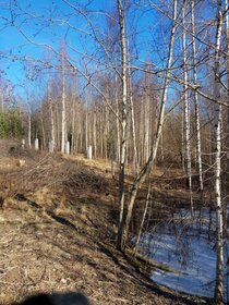 Купить квартиру с отделкой под ключ в Городском округе ЗАТО Северск - изображение 8