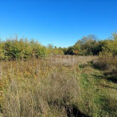 6 соток, участок - изображение 3