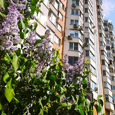 Квартира 82 м², 3-комнатная - изображение 2