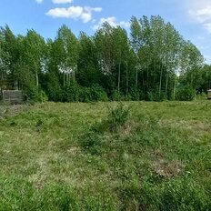 11 соток, участок - изображение 2