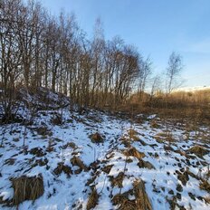 71 сотка, участок - изображение 3