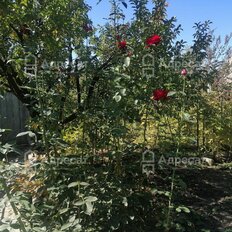 дом + 6 соток, участок - изображение 3