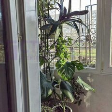 Квартира 44 м², 2-комнатная - изображение 1