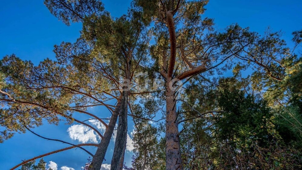 6 соток, участок 800 000 ₽ - изображение 48