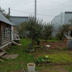 3 сотки, участок - изображение 4