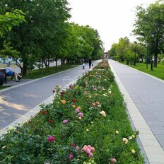 Квартира 35 м², 1-комнатная - изображение 2