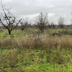 6 соток, участок - изображение 1