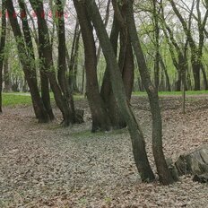 Квартира 35 м², 1-комнатная - изображение 4
