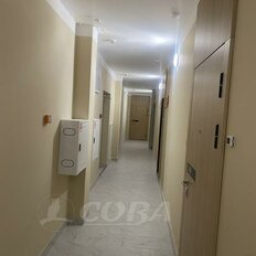 Квартира 24,6 м², студия - изображение 5