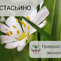 5 соток, участок - изображение 5