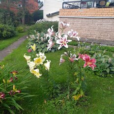 дом + 22 сотки, участок - изображение 1