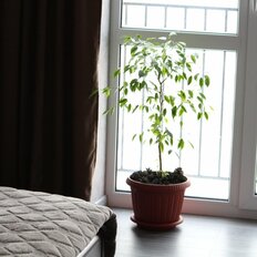 Квартира 25,4 м², студия - изображение 1