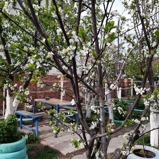 дом + 6,1 сотки, участок - изображение 1