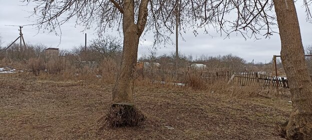 Купить квартиру с большой кухней и без отделки или требует ремонта в Шушарах - изображение 33