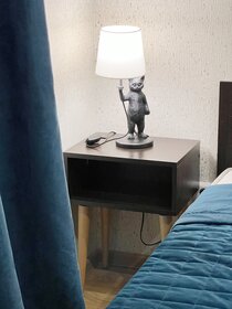 28 м², квартира-студия 2 980 ₽ в сутки - изображение 38