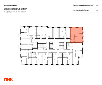 Квартира 55,8 м², 2-комнатная - изображение 2