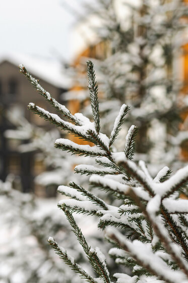 46,6 м², 2-комнатная квартира 4 700 000 ₽ - изображение 95