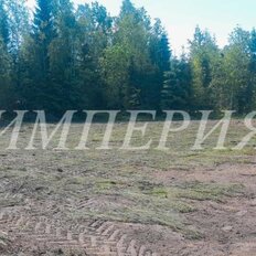 24 сотки, участок - изображение 2