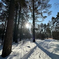 10 соток, участок - изображение 4