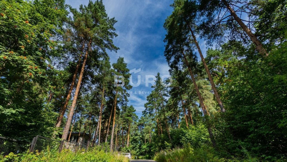 6 соток, участок 800 000 ₽ - изображение 44