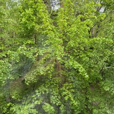 Квартира 112 м², 3-комнатная - изображение 2