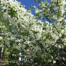 дом + 6 соток, участок - изображение 4