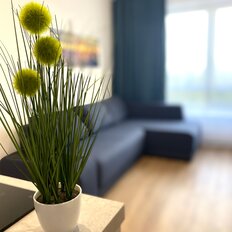 Квартира 22 м², студия - изображение 1