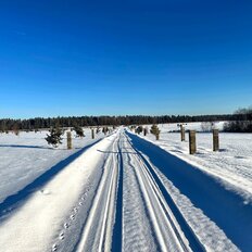 8 соток, участок - изображение 5