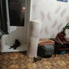 Квартира 44 м², 2-комнатная - изображение 5