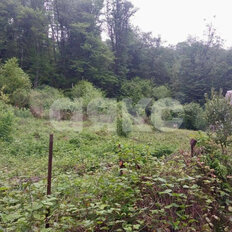 6 соток, участок - изображение 1