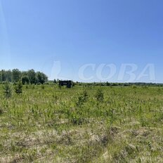 20 соток, участок - изображение 3