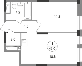 Квартира 43 м², 1-комнатная - изображение 1