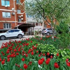Квартира 34,7 м², 1-комнатная - изображение 4