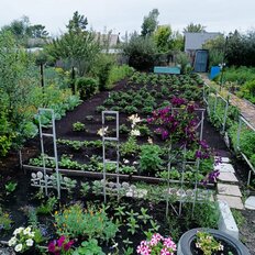 4,4 сотки, участок - изображение 2