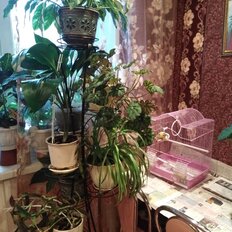 Квартира 33,1 м², 1-комнатная - изображение 3