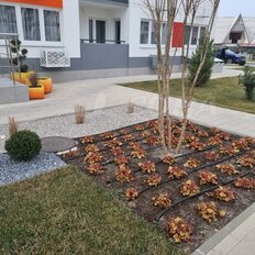 Квартира 34,4 м², 1-комнатная - изображение 4