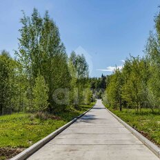 1,3 га, участок - изображение 2